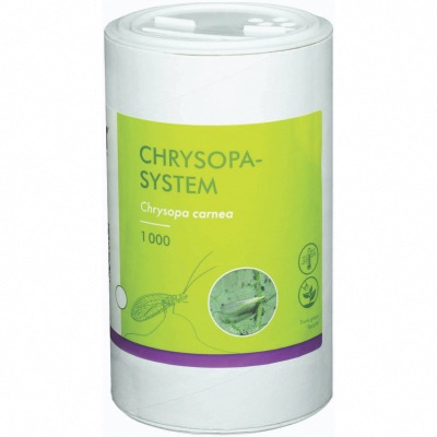 Chrysopa-System - 1.000