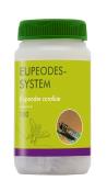 Eupeodes-System - 100