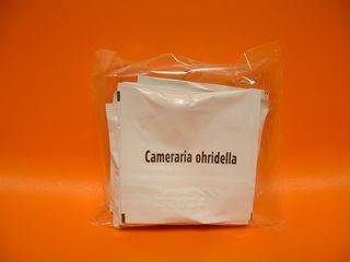 Cameraria ohridella (mineuse du marronnier) - 10 capsules