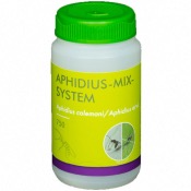 Aphidius-Mix-System - 750 (500 A. colemani + 250 A. ervi)