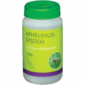 Aphelinus-System - 1.000
