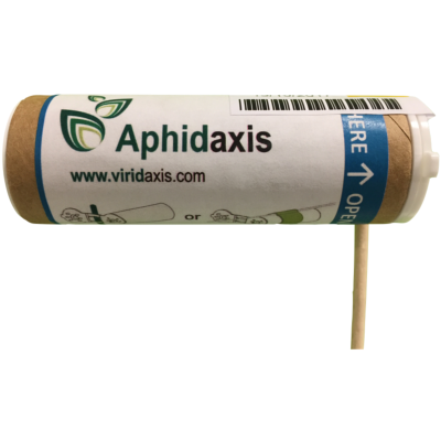 Aphidaxis 300 (mélange de 6 parasitoïdes - tous pucerons)
