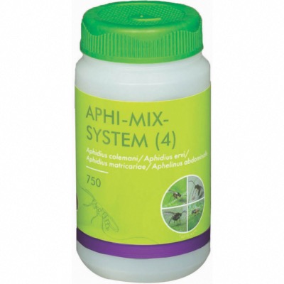 Aphi-Mix-System (4 parasitoïdes) - 750 pupes