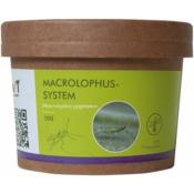 Macrolophus-System - 500