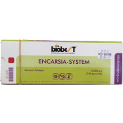 Encarsia-System (50 cartonnettes de 100 pupes - 5.000 E. formosa)